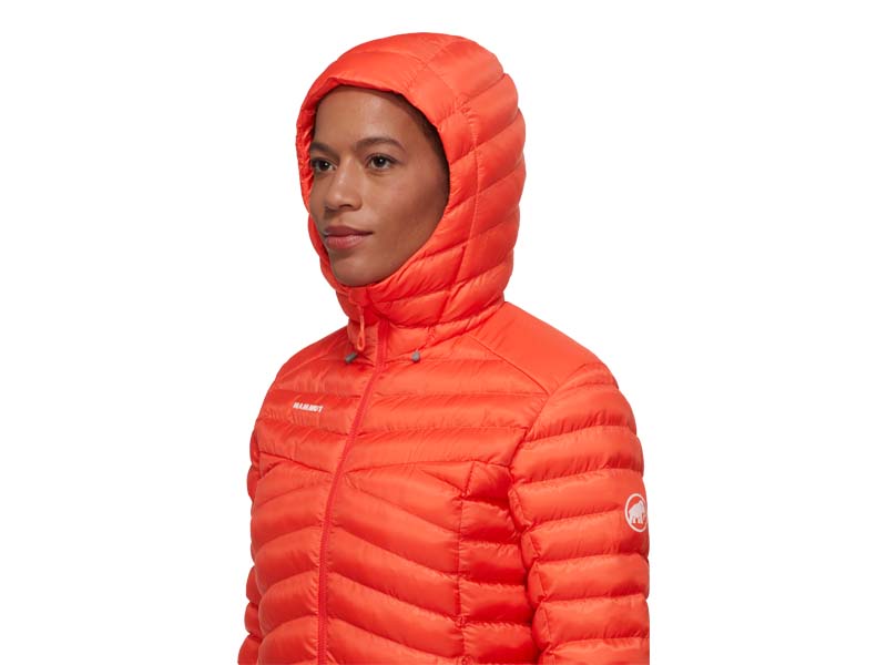 Albula IN Hooded Jacket W